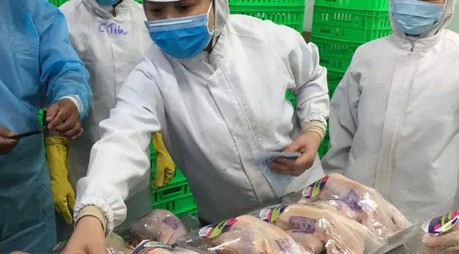 HCM City retail outlets sell traceable chicken meat, eggs