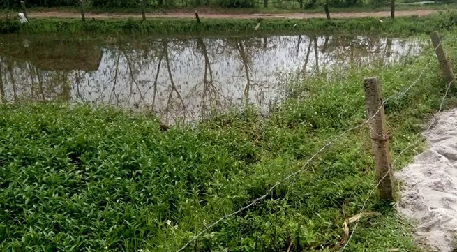 Two men die of electric shock while fishing