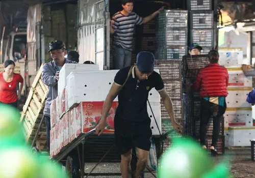 Việt Nam has 18m unofficial workers