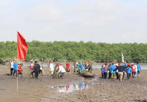 Japanese, Quang Ninh Red Cross volunteers plant mangrove forest