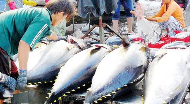 European yellow card warning on fishing