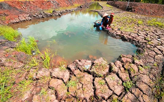 Natural disaster mapping