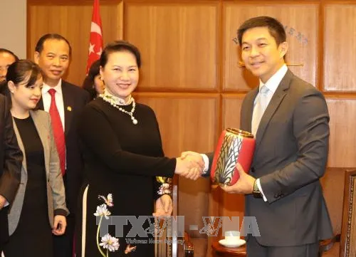 Singaporean, Vietnamese Parliamentary Chairs talk