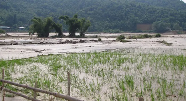 Flood prevention in Northwest Vietnam