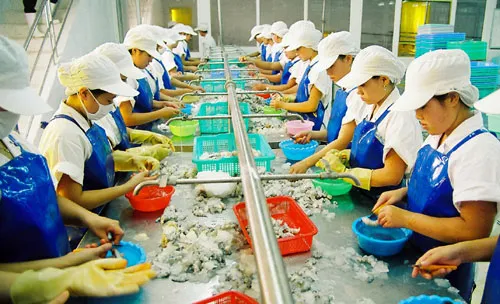 Seafood exports to China increase sharply