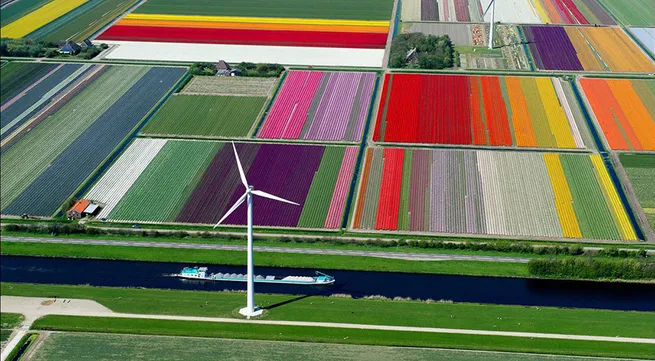 Dutch agricultural experience