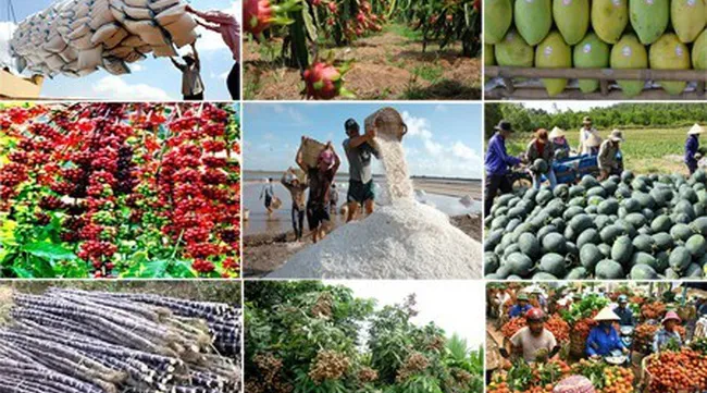 Building a value chain for agricultural products