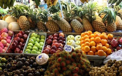 Vietnamese agriculture improves quality for exports