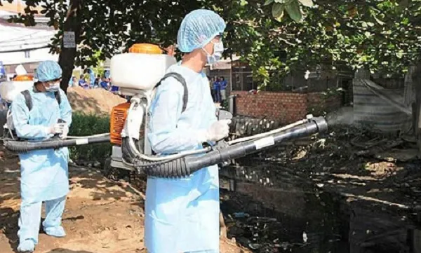 Dengue fever cases fall 70% in Hanoi