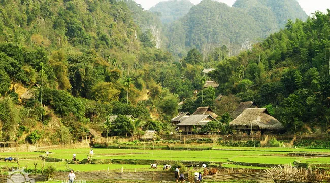 Discovering the Pu Luong nature reserve