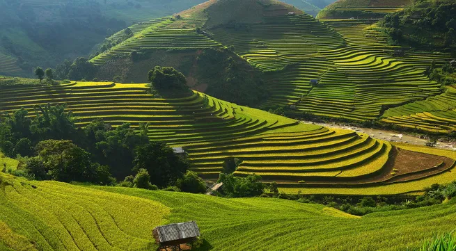 Mu Cang Chai listed among 30 most beautiful destinations