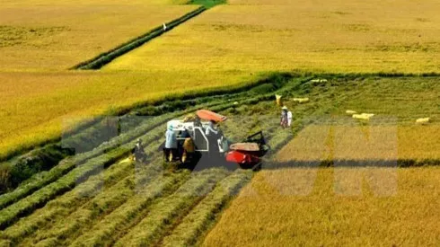 First agricultural aircraft in Vietnam