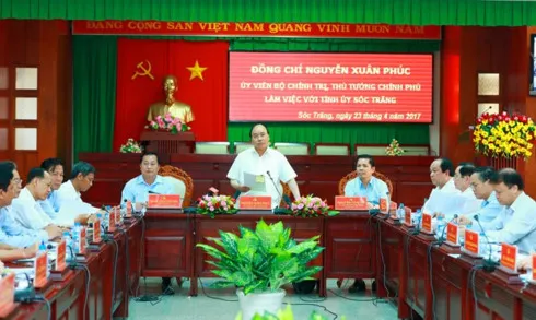 Soc Trang province advised to expand high-yield rice and fruit tree farming