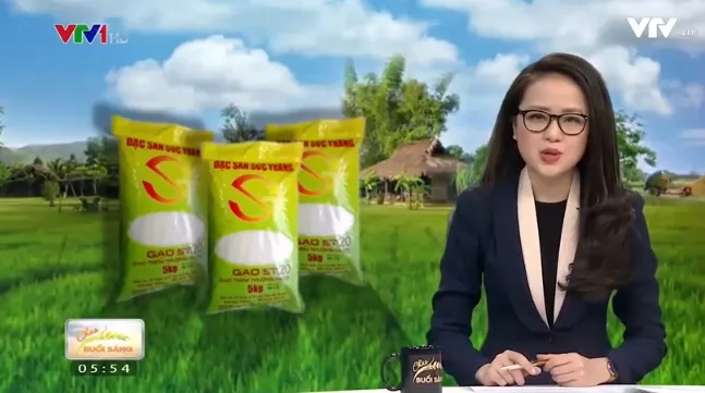 Vietnam’s ST24 rice in top 3 best rice varieties in the world