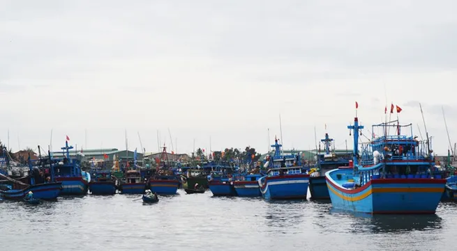 Support for fishermen after typhoon Damrey