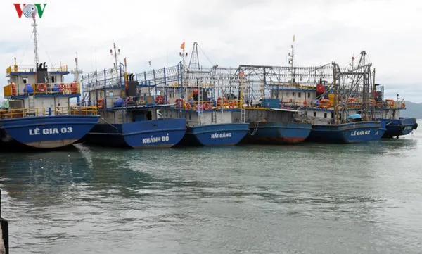 Fishermen face difficulties due to lack of fish