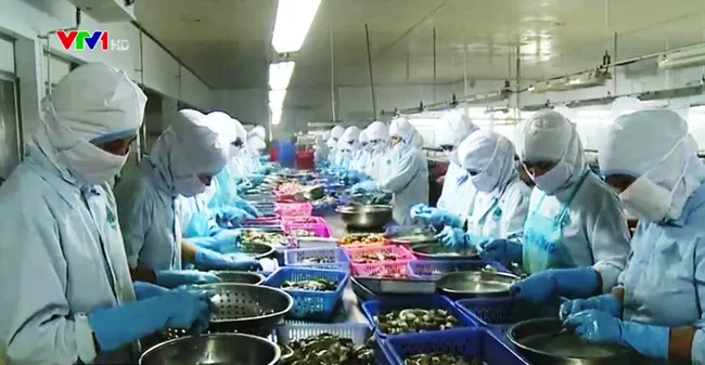 Aquaculture exports to reach 7.4 billion USD