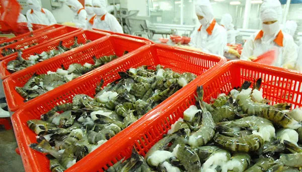 Exports of aquatic products surge in last six months