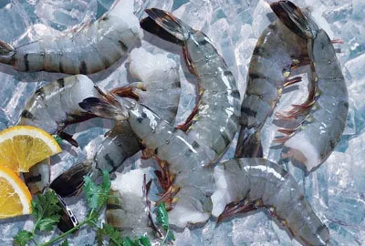 Japan consumes most Vietnamese shrimp