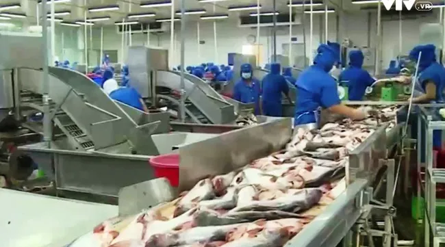 Ministry to invest in Tra fish Centre