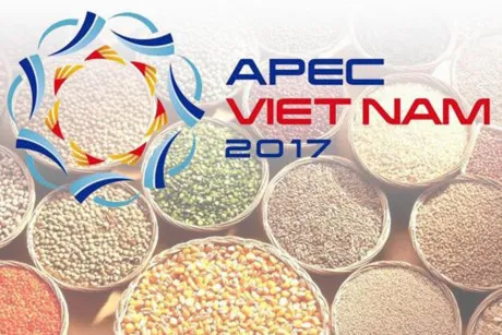 Vietnam continues priorities of APEC Year 2017