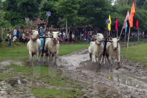 An Giang Tourism Month kicks off