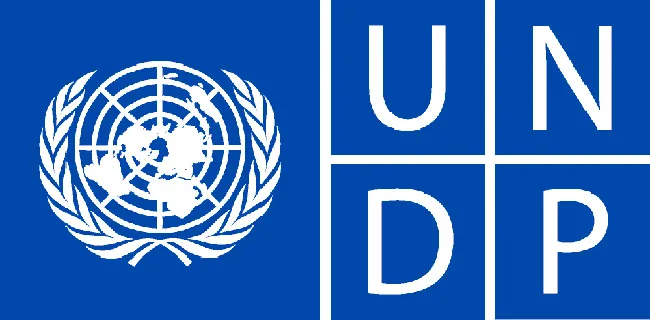 Vietnam – UNDP cooperation from 1986 - 2000