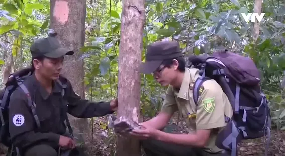 Coversation of rare animals strengthened in Hue