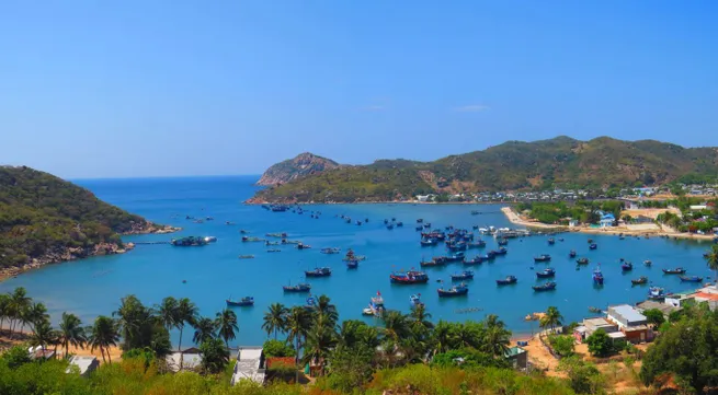 Marine life in Vinh Hy discored through glass bottom boat