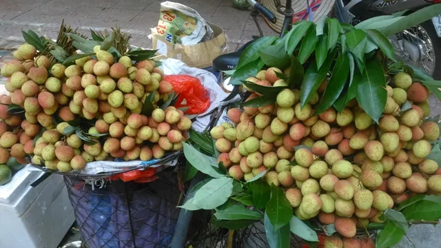 Lychee brought highest recorded revenue for Bac Giang province