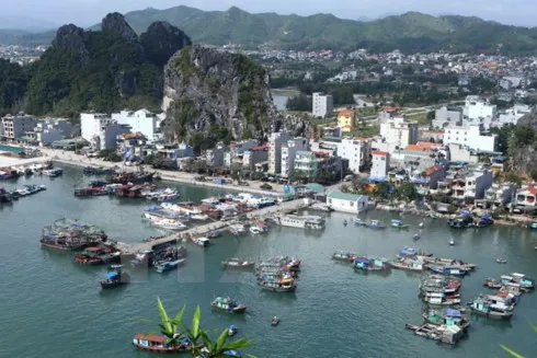 Vietnam formulates legal framework for special administrative economic zones