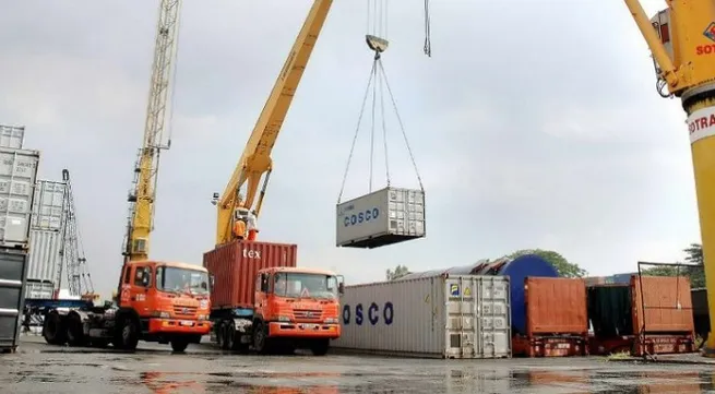 203 billion USD annual export value predicted