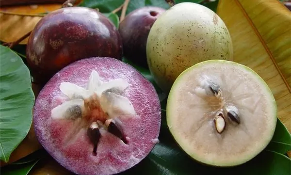 Vietnamese star apples to enter the US