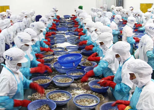 Japan consumes most Vietnamese aquaculture products