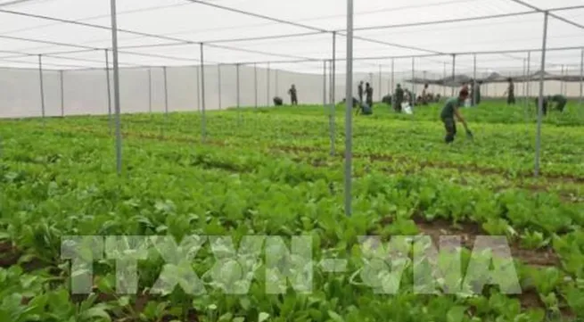 Sustainable agriculture solutions needed