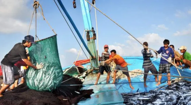 Vietnam maintains sustainable fisheries