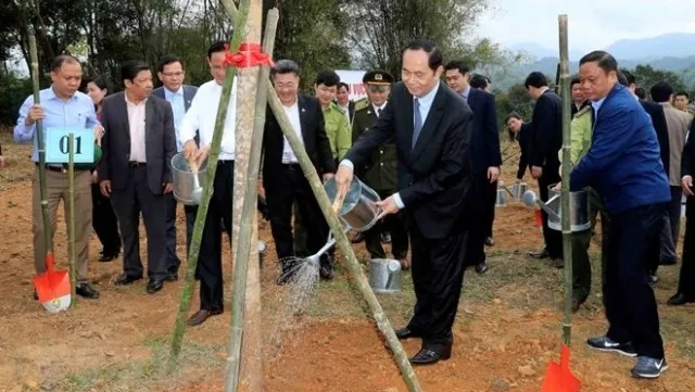 President launches tree-planting festival