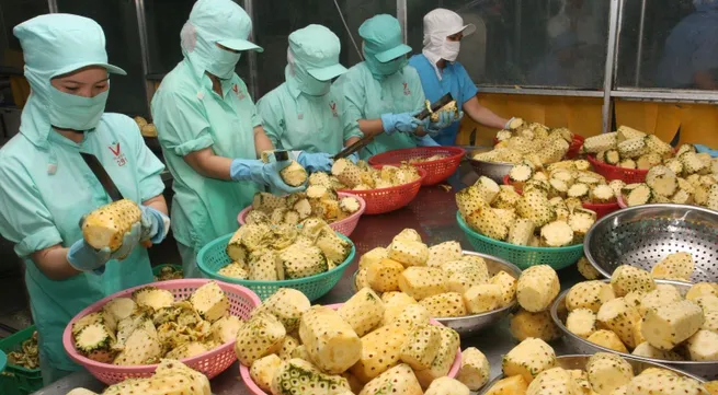 Fruit and vegetable exports expected to hit US$4 billion