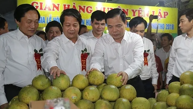 Phu Tho province holds fair to promote Doan Hung pomelos