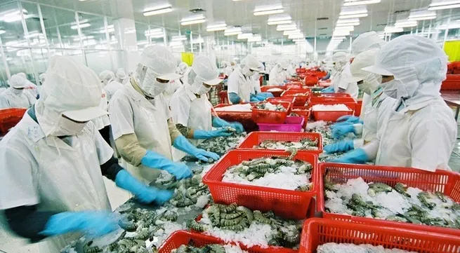 Vietnam’s seafood exports hit US$4.63 billion in first seven months