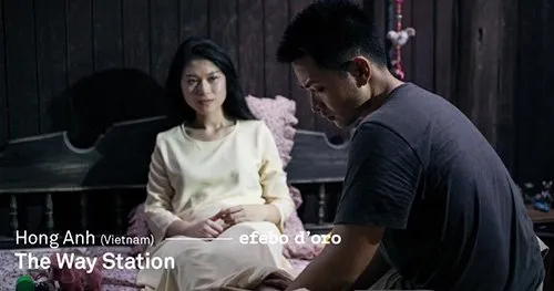 Vietnamese film wins international prize