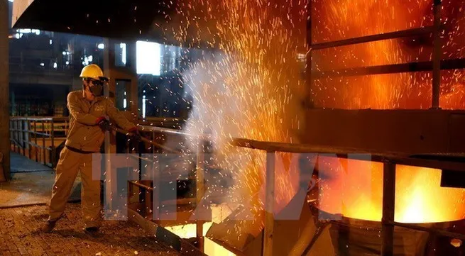 RoK firms seek partnership chances with Hoa Phat Group