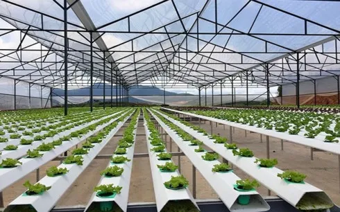 Digital agriculture the key to higher value farm produce