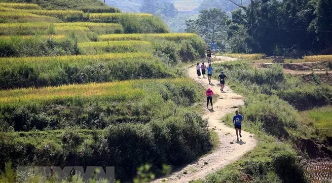 Over 3,100 runners compete in Sa Pa int’l mountain marathon