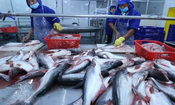 Tra fish exports likely to hit 2.1 billion USD this year