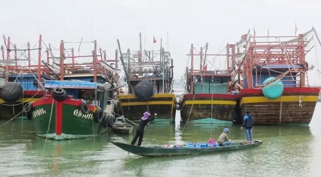 Quang Binh moves to prevent illegal, unreported fishing