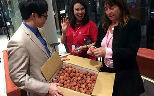 Vietnamese lychees get shelf space in Western Australia