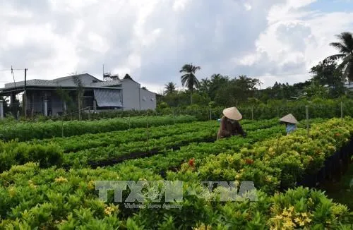 Dong Thap chooses six craft villages for preservation