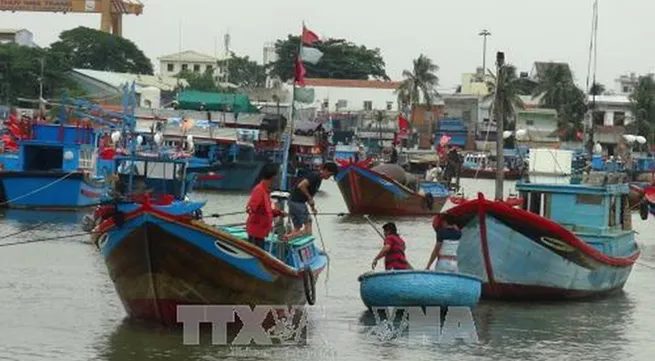 Vietnam to impose harsh punishments on illegal fishing