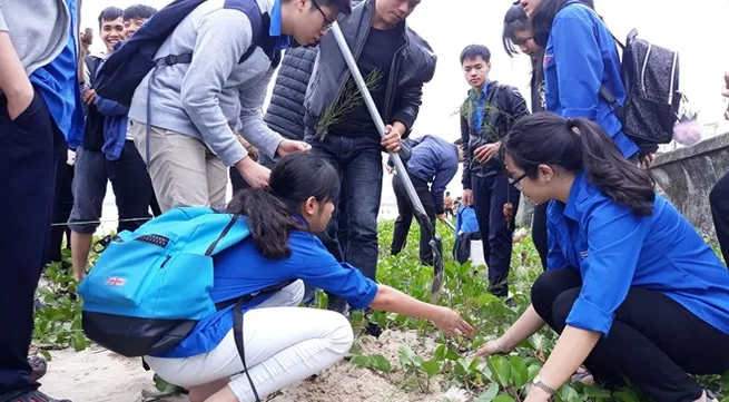 Localities nationwide launch New Year tree planting festival